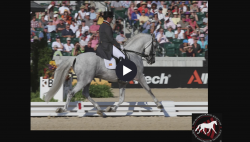 thumbnail for The Stifle and Thigh 2025